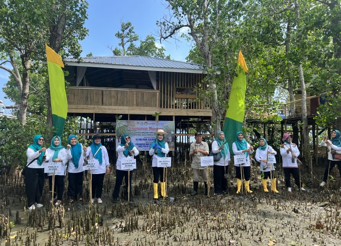 Kegiatan Penanaman Mangrove dalam rangka HKG PKK ke-51