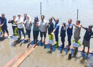 DLH Sulbar ikut berpartisipasi pada kegiatan Penanaman Mangrove yang di selenggarakan BPDAS Karema