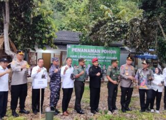 Penanaman Pohon di Pulau Karampuang bersama Pj. Gubernur Sulbar, Forkopimda dan  OPD Pempov. Sulbar